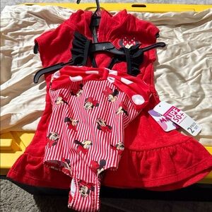 Disney Red Minnie Mouse Swimwear Set